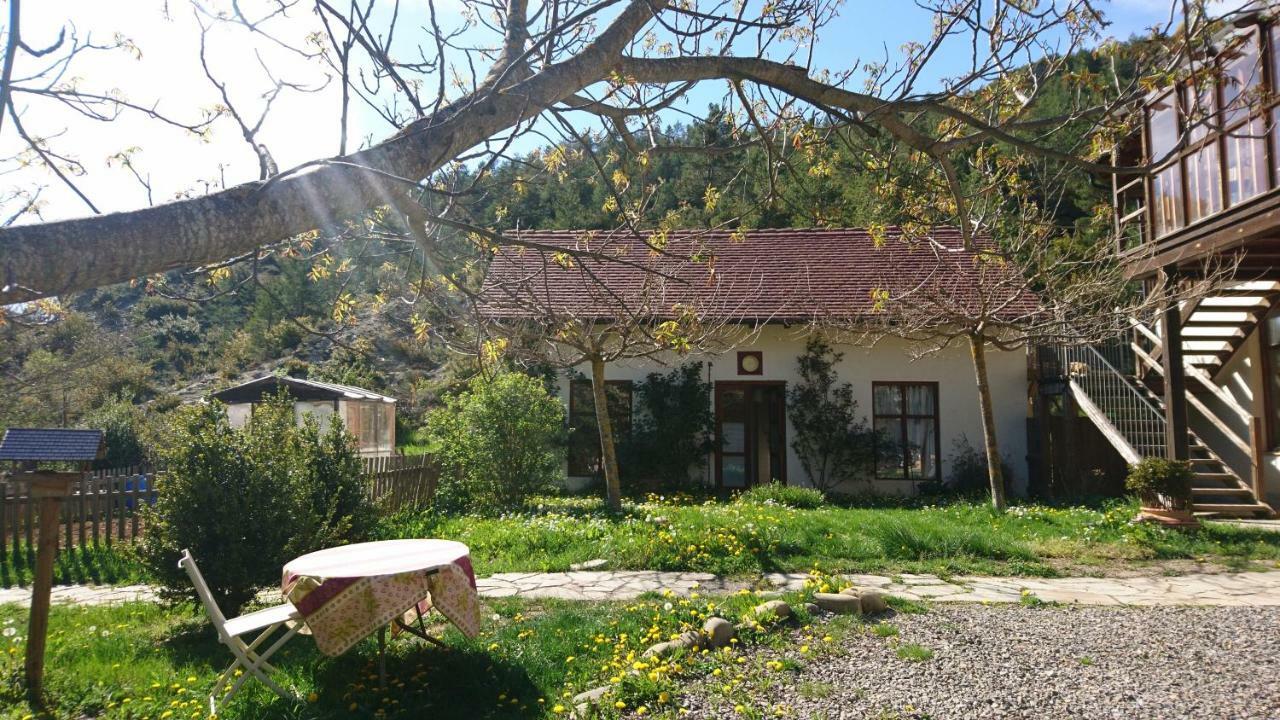 Casa Turreta Apartman Ansó Kültér fotó